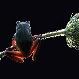 Image post by @worldscifest on Instagram