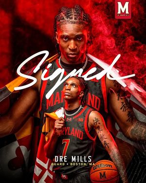Image post by @terrapinhoops on Instagram