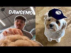 Video post by @EvilGeniusesVALORANT on YouTube