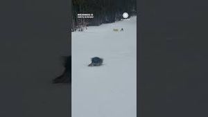 Video post by @accuweather on YouTube