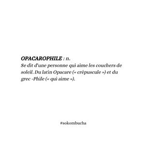 Image post by @so_kombucha on Instagram