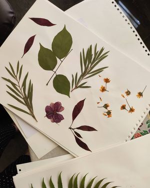 Image post by @leafyaffair on Instagram