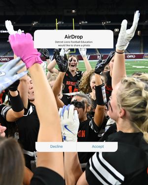 Image post by @lionsyouthfb on Instagram