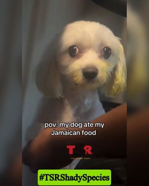 Image post by @theshaderoom on Instagram