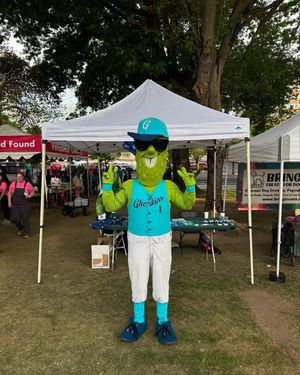 Image post by @picklesbaseball on Instagram