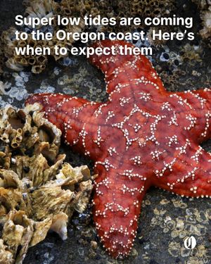 Image post by @theoregonian on Instagram