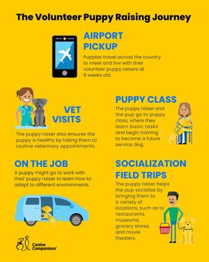 Image post by @canineorg on Instagram