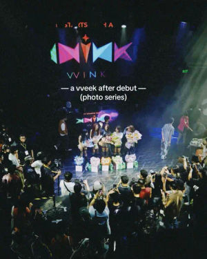 Image post by @vvink_ph on TikTok
