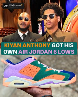 Image post by @soleretriever on Instagram