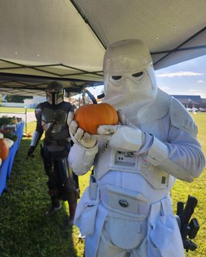 Image post by @official501st on Instagram
