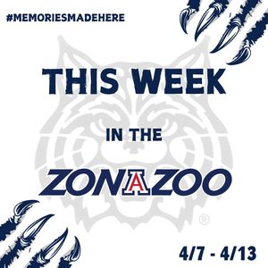 Image post by @zonazooofficial on Instagram
