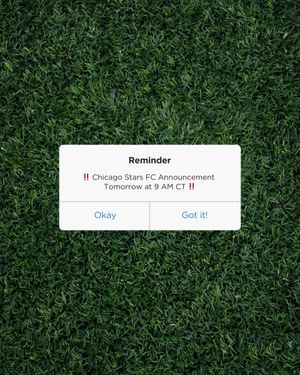 Image post by @theChicagoStars on Twitter