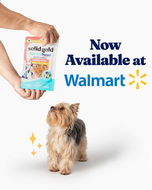 Image post by @solidgoldpets on Instagram