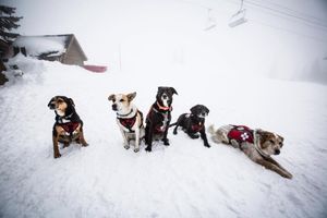Image post by @breckenridgemtn on Instagram