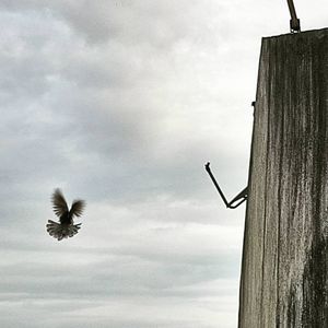 Image post by @montoo_bassi on Instagram