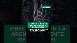 Video post by @laopinionla on YouTube