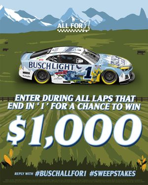 Image post by @BuschBeer on Twitter