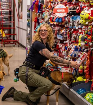 Image post by @petsmart on Instagram