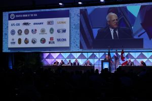 Image post by @iubac on Instagram