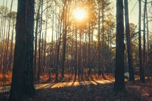 Image post by @jperrycreative on Instagram