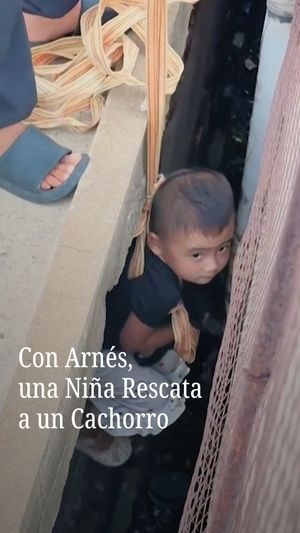 Image post by @nmasunivision on Instagram