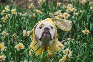 Image post by @thebutlerblue on Instagram