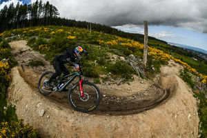 Image post by @redbullphotography on Instagram