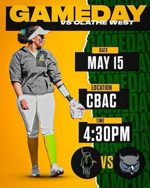 Image post by @smssoftball_ on Instagram