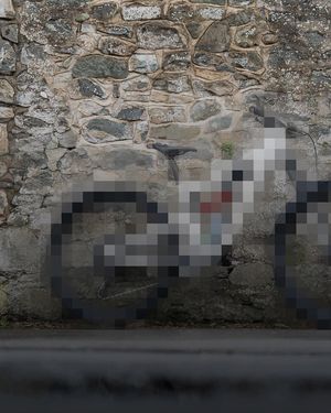 Image post by @nukeproofbikes on Instagram