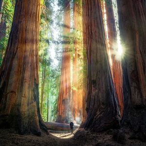 Image post by @nationalparkscollective on Instagram