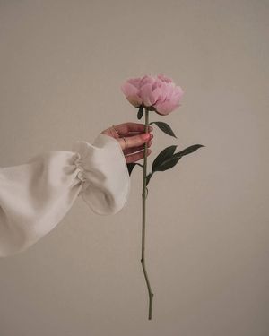 Image post by @kate.simple.life on Instagram