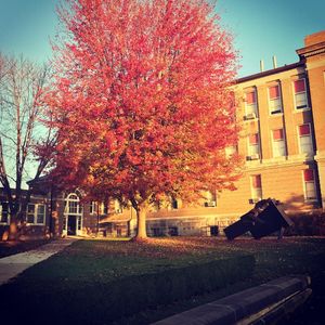 Image post by @westerniluniv on Instagram