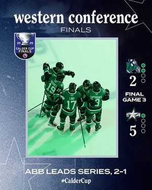 Image post by @theahl on Instagram