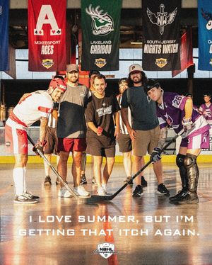Image post by @nationalballhockeyleague on Instagram