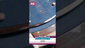 Video post by @dailyflashtv on YouTube