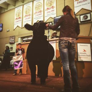 Image post by @nationalwestern on Instagram