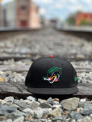 Image post by @GoWoodDucks on Twitter