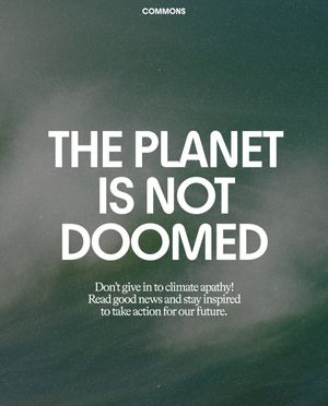 Image post by @commonsearth on Instagram