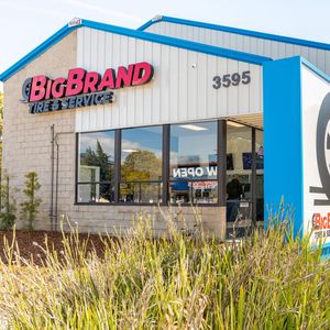 Image post by @bigbrandtire on Instagram