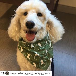 Image post by @uchealth on Instagram