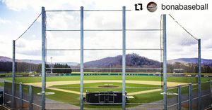 Image post by @gobonnies on Instagram
