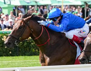 Image post by @godolphin on Instagram
