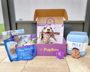 Image post by @petco on Instagram