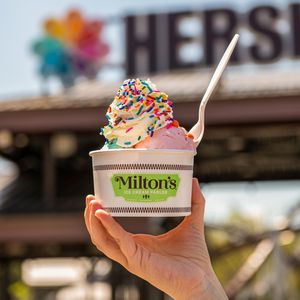 Image post by @hersheypark on Instagram