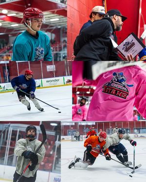 Image post by @nahltitans on Instagram