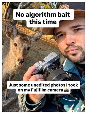 Image post by @herzawg on Instagram