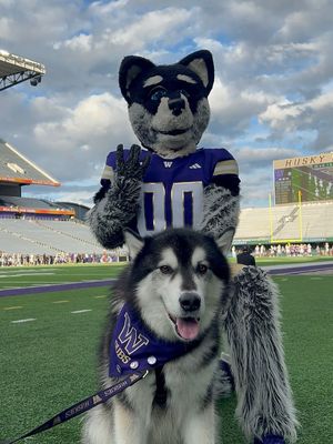 Image post by @dubs_uw on Instagram