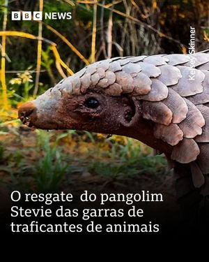 Image post by @bbcbrasil on Instagram