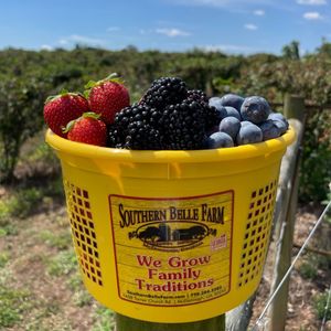 Image post by @southernbellefarm on Instagram