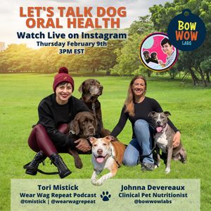 Image post by @bowwowlabs on Instagram